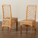bali & pari Moscow Modern Bohemian Natural Brown Rattan and Walnut Brown Mahogany Wood 2-Piece Dining Chair Set - BSOMoscow-Teak-DC