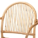 bali & pari Tugera Modern Bohemian Natural Brown Rattan Dining Chair - BSOTugera-Rattan-DC