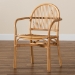 bali & pari Tugera Modern Bohemian Natural Brown Rattan Dining Chair - BSOTugera-Rattan-DC