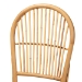 bali & pari Wina Modern Bohemian Natural Brown Rattan 2-Piece Dining Chair Set - BSOWina-Rattan-DC