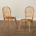 bali & pari Wina Modern Bohemian Natural Brown Rattan 2-Piece Dining Chair Set - BSOWina-Rattan-DC