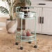 Baxton Studio Newell Mid-Century Modern Mint Green Finished Metal 2-Tier Kitchen Cart - BSOLCF20171-Mint Green-Cart