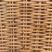 bali & pari Neola Modern Bohemian Natural Rattan Bar Stool - BSO12736-Rattan-BS