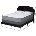 Baxton Studio Oxley Traditional Glam and Luxe Black Velvet and Gold Metal Queen Size Panel Bed - BSOOxley-Black Velvet-Queen