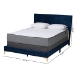 Baxton Studio Abberton Modern and Contemporary Navy Blue Velvet and Gold Metal Queen Size Panel Bed - BSOAbberton-Navy Blue Velvet-Queen