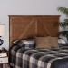 Baxton Studio Yorick Classic and Traditional Ash Walnut Finished Wood Queen Size Headboard - BSOMG9789-Ash Walnut-HB-Queen