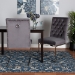 Baxton Studio Sherine Contemporary Glam and Luxe Grey Velvet Fabric and Silver Metal 2-Piece Dining Chair Set - BSO3504-Grey Velvet-DC