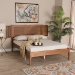 Baxton Studio Eridian Mid-Century Modern Walnut Brown Finished Wood and Natural Rattan Queen Size Platform Bed - BSOMG0070-Walnut Rattan-Queen