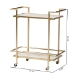 Baxton Studio Louise Contemporary Glam and Luxe Gold Metal and White Marble 2-Tier Wine Cart - BSOH01-98877-Gold/White Marble-Cart