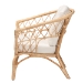 bali & pari Feya Modern Bohemian Natural Brown Antique Rattan Armchair - BSODC8030-Rattan-CC