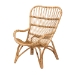 Baxton Studio Earvin Modern Bohemian Natural Brown Rattan Armchair