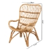 bali & pari Earvin Modern Bohemian Natural Brown Rattan Armchair - BSODC8005-Rattan-CC