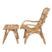 Baxton Studio Earvin Modern Bohemian Natural Brown Rattan 2-Piece Armchair and Footstool Set - BSODC8005-Rattan-2PC Set