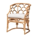 Baxton Studio Aster Modern Bohemian Natural Brown Rattan Armchair
