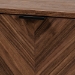 Baxton Studio Sadia Modern Walnut Brown Finished Wood Storage Cabinet - BSOLCF20211282-Walnut-Cabinet