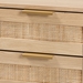Baxton Studio Dewitt Japandi Light Brown Finished Wood and Gold Metal 2-Drawer End Table - BSOSR221132-Wooden-ET