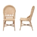 bali & pari Jelita Modern Bohemian Natural Brown Rattan 2-Piece Dining Chair Set - BSOJelita-Rattan-DC