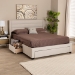 Baxton Studio Braylon Mid-Century Modern Transitional Beige Fabric and Dark Brown Finished Wood Queen Size 3-Drawer Storage Platform Bed - BSOCF 9270-A-Coronado-A-Beige-Queen