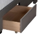 Baxton Studio Braylon Mid-Century Modern Transitional Light Grey Fabric and Dark Brown Finished Wood Queen Size 3-Drawer Storage Platform Bed - BSOCF 9270-A-Coronado-A-Grey-Queen