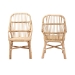 bali & pari Sumatera Modern Bohemian Natural Brown Rattan 2-Piece Dining Chair Set - BSOSumatera-Rattan-DC