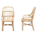bali & pari Sumatera Modern Bohemian Natural Brown Rattan 2-Piece Dining Chair Set - BSOSumatera-Rattan-DC