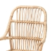 bali & pari Sumatera Modern Bohemian Natural Brown Rattan 2-Piece Dining Chair Set - BSOSumatera-Rattan-DC
