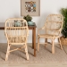 bali & pari Sumatera Modern Bohemian Natural Brown Rattan 2-Piece Dining Chair Set - BSOSumatera-Rattan-DC