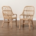 bali & pari Sumatera Modern Bohemian Natural Brown Rattan 2-Piece Dining Chair Set - BSOSumatera-Rattan-DC