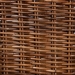 bali & pari Mario Modern Bohemian Natural Brown Finished Teak Wood and Rattan 2-Piece Dining Chair Set - BSOMario-Rattan-DC