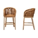 bali & pari Mario Modern Bohemian Natural Brown Finished Teak Wood and Rattan 2-Piece Counter Stool Set - BSOMario-Rattan-BS