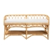 bali & pari Leryn Modern Bohemian Natural Brown Rattan Bench - BSOWS20-Rattan-Bench