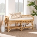 bali & pari Leryn Modern Bohemian Natural Brown Rattan Bench - BSOWS20-Rattan-Bench