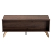 Baxton Studio Graceland Mid-Century Modern Transitional Walnut Brown Finished Wood 2-Drawer Coffee Table - BSOLV45CFT4514WI-CLB-Coffee Table