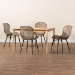 Baxton Studio Sabelle Japandi Natural Brown Finished Wood and Greywashed Rattan 5-Piece Dining Set - BSOKYG007C-Natural Oak/Light Grey-5PC Dining Set