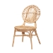 Baxton Studio Iris Modern Bohemian Natural Brown Rattan 5-Piece Dining Set - BSOKYG016C-Natural-5PC Dining Set