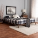 Baxton Studio Alivia Mid-Century Modern Walnut Brown Finished Wood Queen Size Bed Frame - BSOSW8539-Walnut-Queen