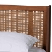 Baxton Studio Aveena Mid-Century Modern Walnut Brown Finished Wood Queen Size Platform Bed - BSOMG0004-3-Ash Walnut/Rattan-Queen