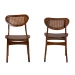 Baxton Studio Hesper Mid-Century Modern Walnut Brown Finished Wood and Rattan 2-Piece Dining Chair Set - BSORH253C-Walnut Rattan/Walnut Bent Seat-DC-2PK