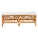 bali & pari Materra Modern bohemian Natural Brown Rattan Bench - BSOMaterra-Light Honey Ratttan-Bench