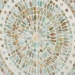 Baxton Studio Quintus Modern Bohemian Multicolor Mother of Pearl and Gold Metal Storage Cabinet - BSOF232-FT53-Cabinet
