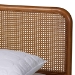 Baxton Studio Rosita Mid-Century Modern Transitional Light Grey Velvet Fabric and Walnut Brown Finished Wood Queen Size Platform Bed - BSOBBT61162-Rattan-Queen