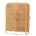 bali & pari Curacao Modern Bohemian Light Honey Rattan 2-Door Storage Cabinet - BSOCuracao-Light Honey Rattan-Medium-Cabinet