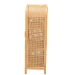bali & pari Curacao Modern Bohemian Light Honey Rattan 2-Door Storage Cabinet - BSOCuracao-Light Honey Rattan-Medium-Cabinet