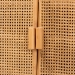 bali & pari Curacao Modern Bohemian Light Honey Rattan 2-Door Storage Cabinet - BSOCuracao-Light Honey Rattan-Medium-Cabinet