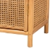 bali & pari Curacao Modern Bohemian Light Honey Rattan 2-Door Storage Cabinet - BSOCuracao-Light Honey Rattan-Medium-Cabinet