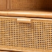 bali & pari Curacao Modern Bohemian Light Honey Rattan 2-Drawer Bookcase - BSOCuracao-Light Honey Rattan-Bookcase