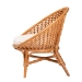 bali & pari Aerin Modern Bohemian Natural Rattan Accent Chair - BSOAerin-Light Honey Rattan-CC