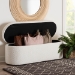 Baxton Studio Lavina Modern White Teddy-Bear Fabric Storage Bench - BSOBBT3212.11 A2-White-Bench