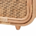 bali & pari Keita Bohemian Natural Rattan and Mahogany Wood Nightstand - BSOWS062-B-Natural Rattan-NS