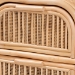bali & pari Adrika Bohemian Natural Rattan 2-Drawer Nightstand - BSOWS051-Natural Rattan-NS